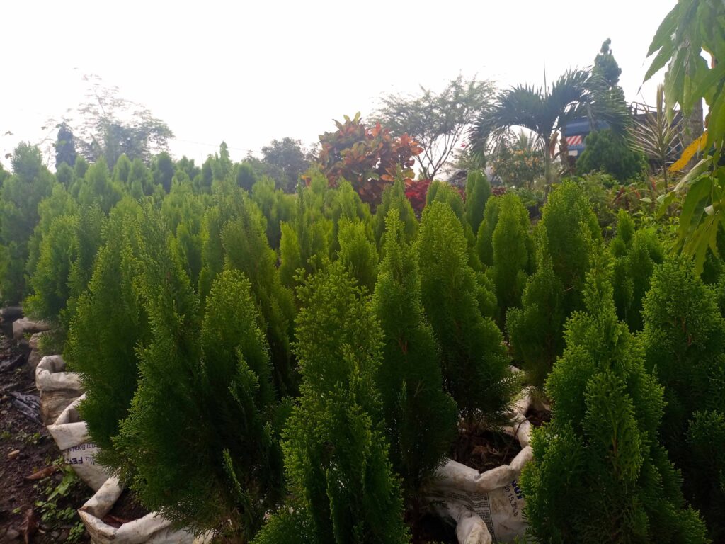 Green Horticulture Farming 1 small