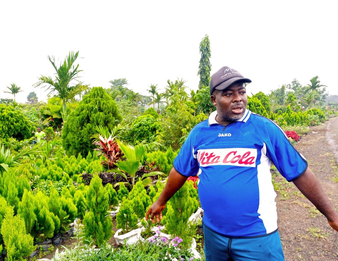 Green Horticulture Farming