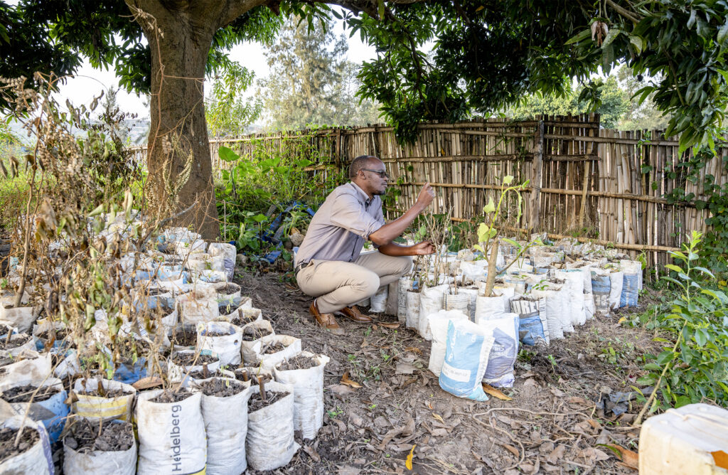 Microsoft Word BIRD RELEASE FORM.docx