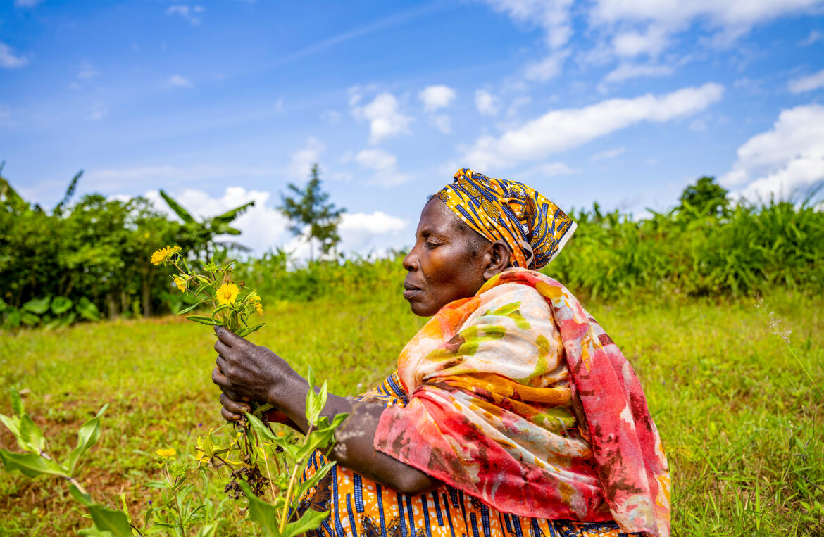 Rwanda's healers and gardeners are preserving local plant knowledge